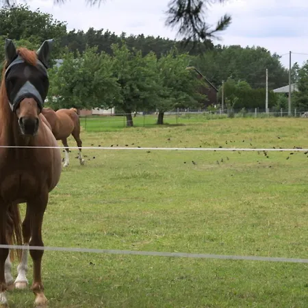 Spreewaelder Schwalbenhof - 