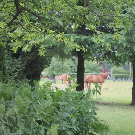 Spreewaelder Schwalbenhof - 