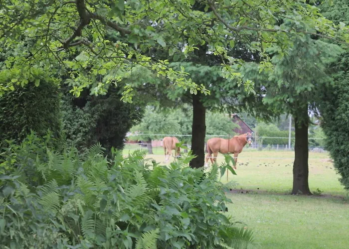 Spreewaelder Schwalbenhof - 